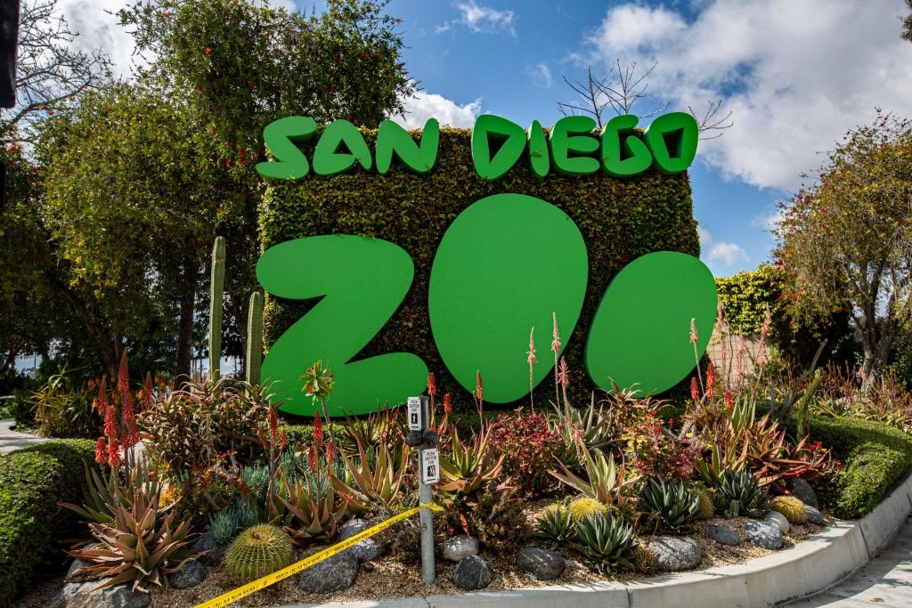 San Diego Zoo Bag Policy 2024: Everything You Need To Know | Stasher Blog
