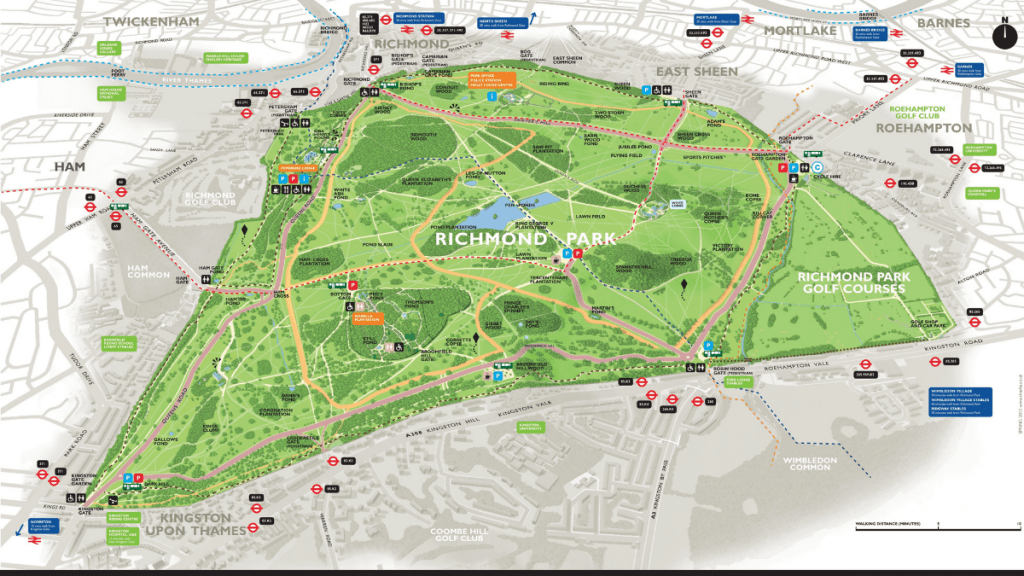 Best Walks in London: Richmond Park